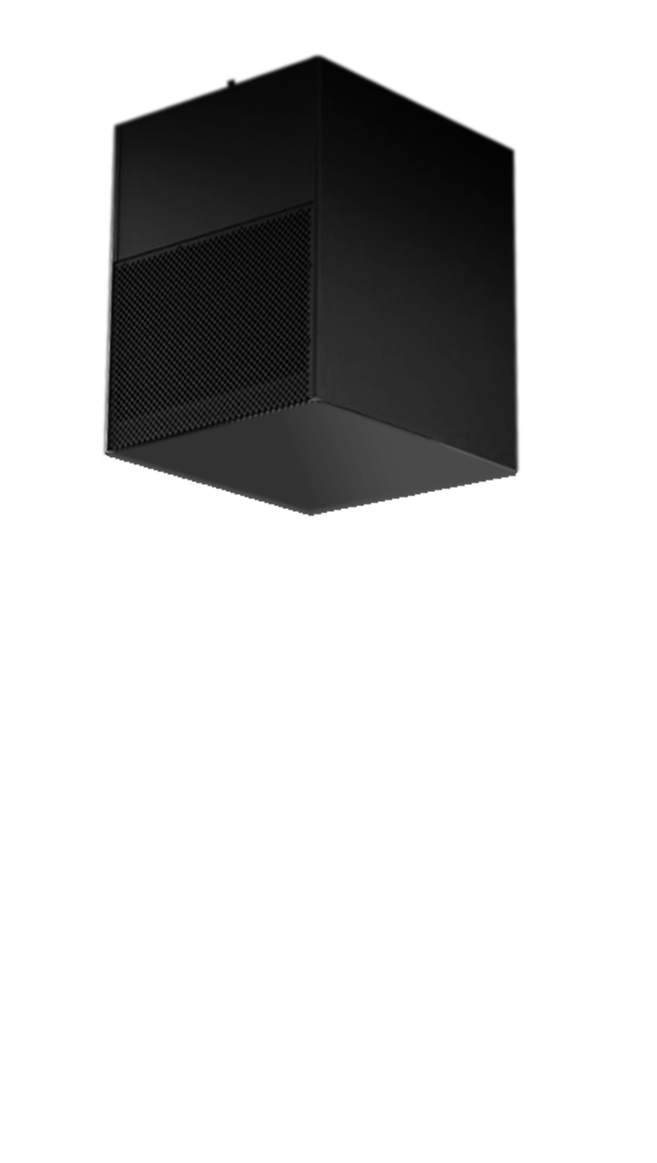 Flown Subwoofer